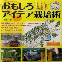 スイカの栽培と効能