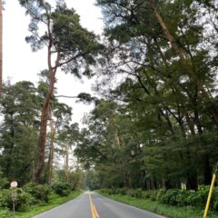 吹く風が肌寒い季節にりましたね。