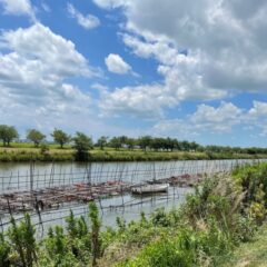 霞ヶ浦をご存じですか？？
